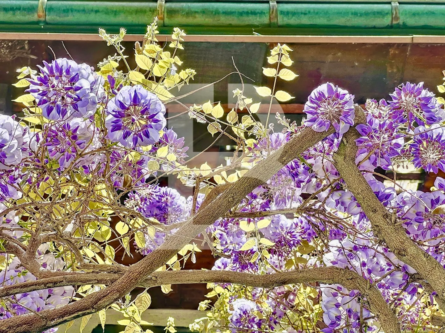 Wunderschöner Bauernhof im Herzen des Dorfes - Foto 8 von 8