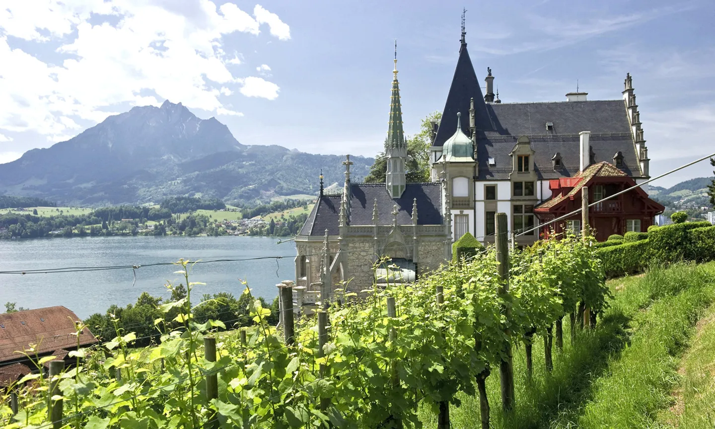 Luce, tranquillità e panorama - La vostra casa a Meggen - Foto 8 di 11