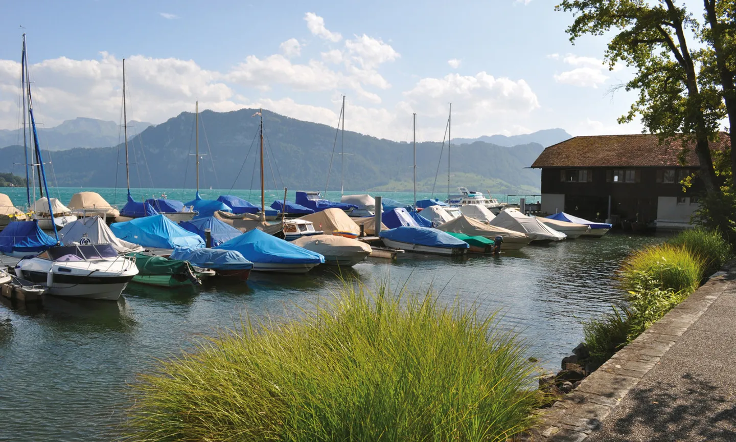 Luce, tranquillità e panorama - La vostra casa a Meggen - Foto 10 di 11