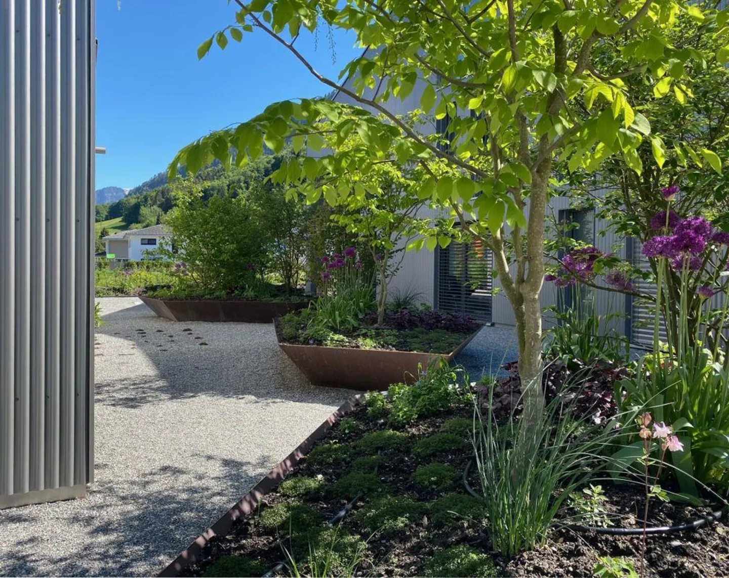 Bright ground floor apartment for rent on "Gartenstrasse" Bad Ragaz - Photo 4 of 6