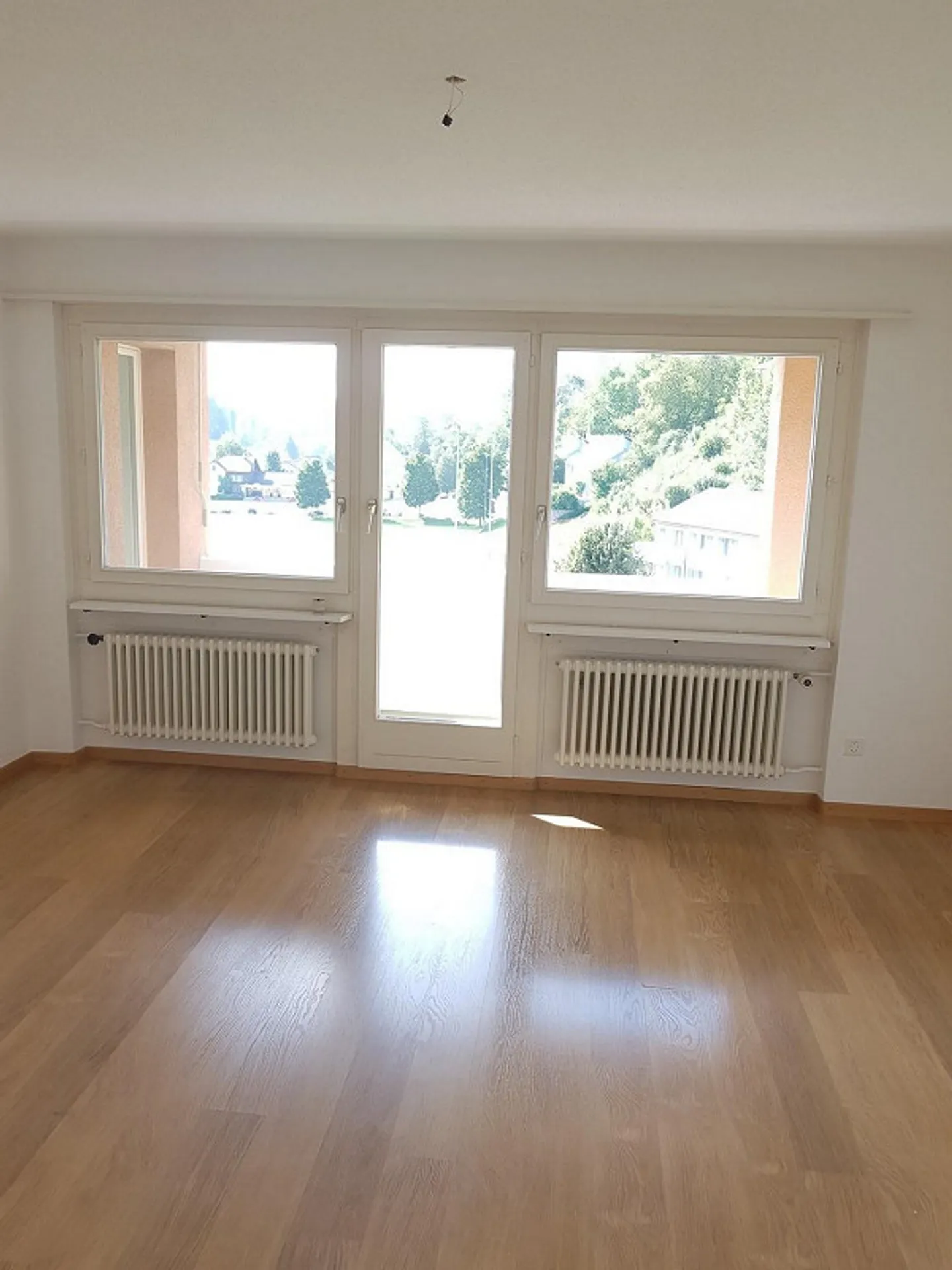 Coup de maître ! - Photo 4 sur 10