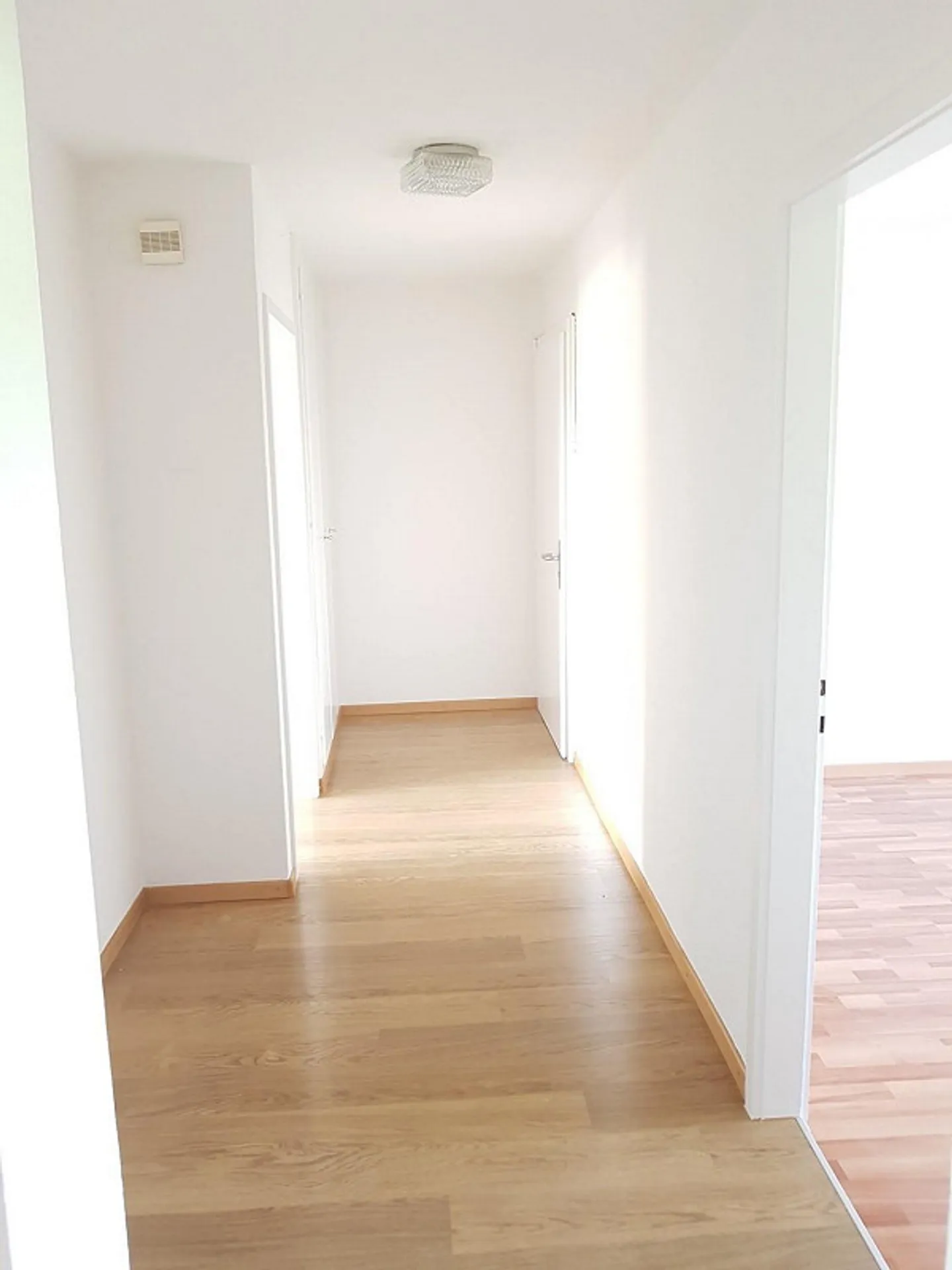 Coup de maître ! - Photo 7 sur 10