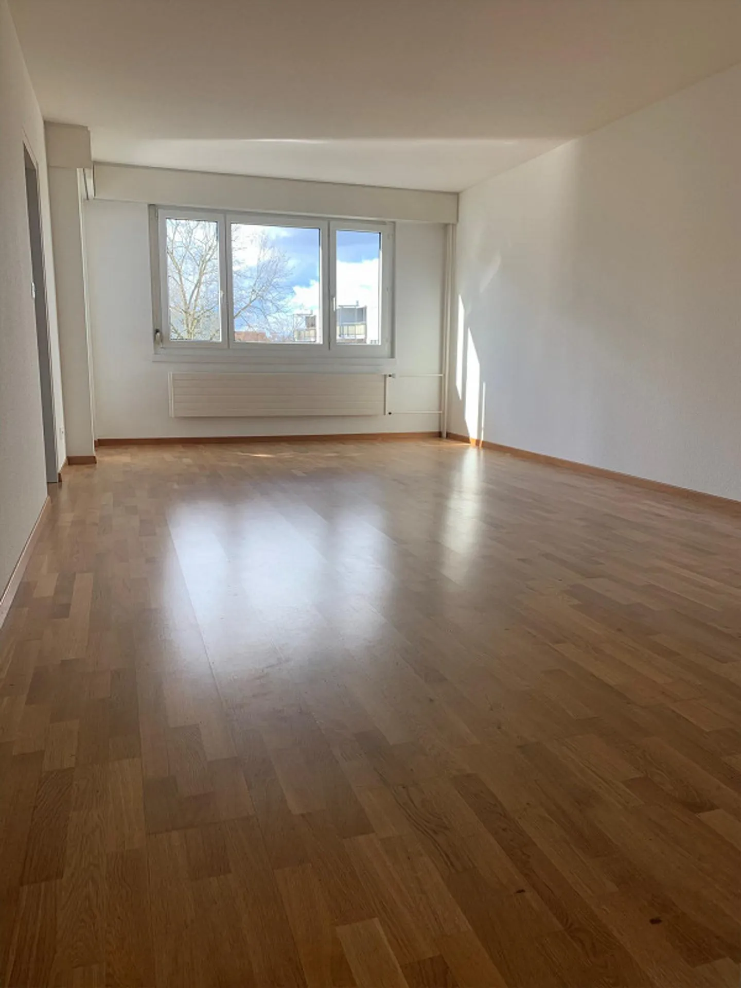 Vivere attraente al Greifensee - Foto 2 di 6