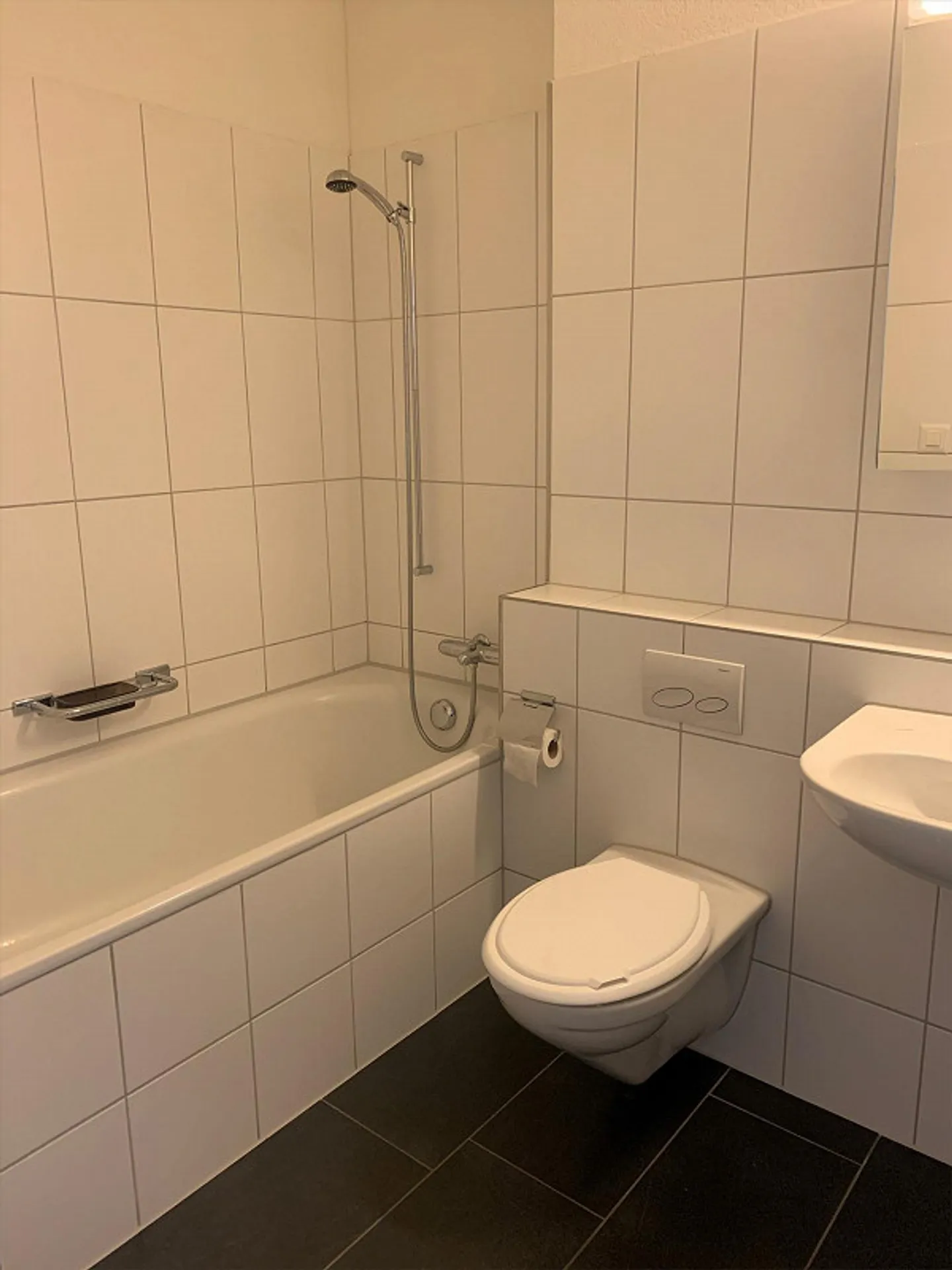 Vivere attraente al Greifensee - Foto 4 di 6