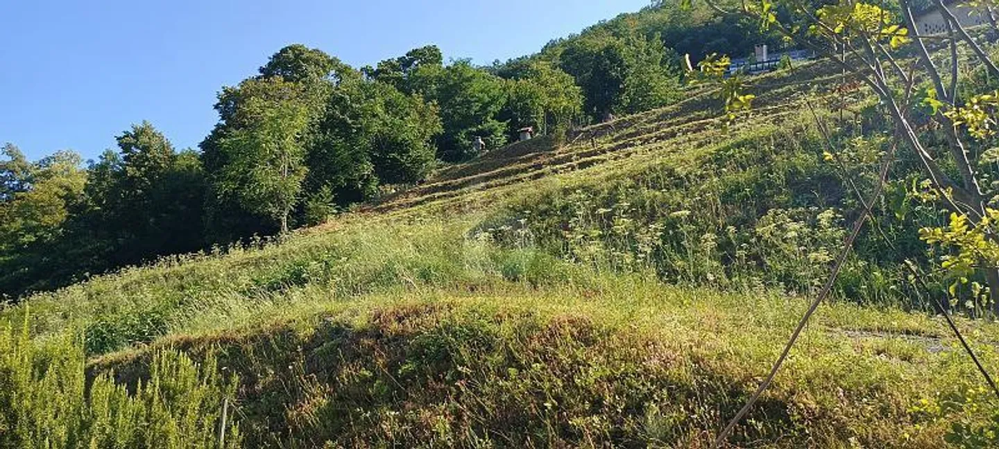 Terrain à bâtir avec vue dégagée - Photo 3 sur 5