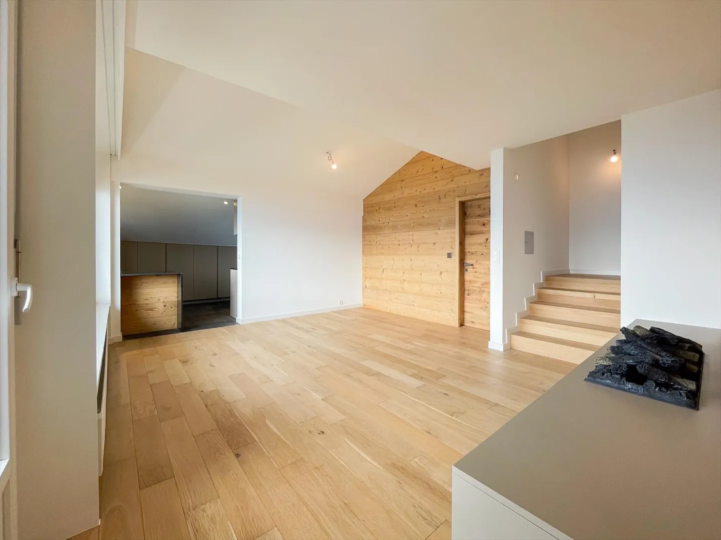 4.5 Room Penthouse - Photo 4 of 14