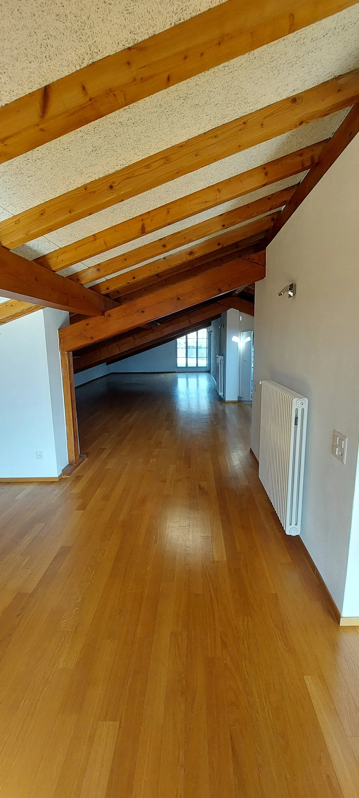 Loft nel cuore di Bellinzona con grande terrazza - Foto 7 di 10