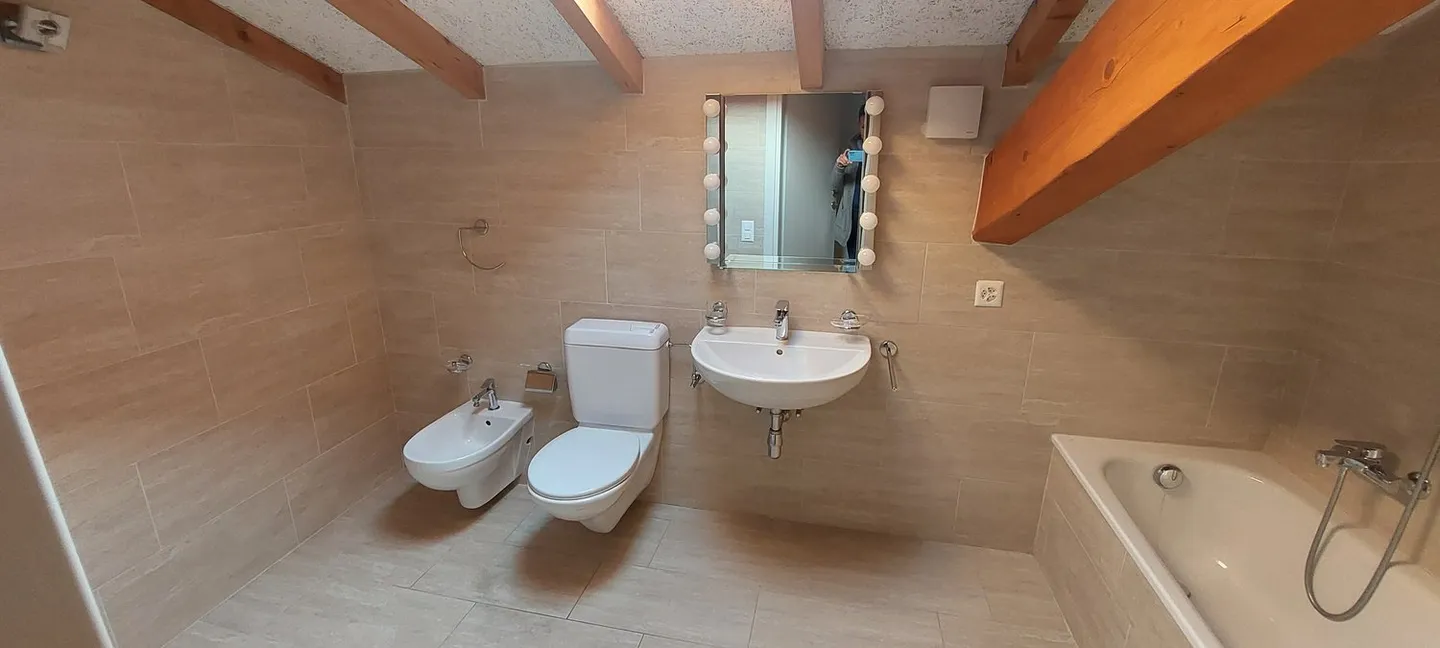 Loft nel cuore di Bellinzona con grande terrazza - Foto 10 di 10