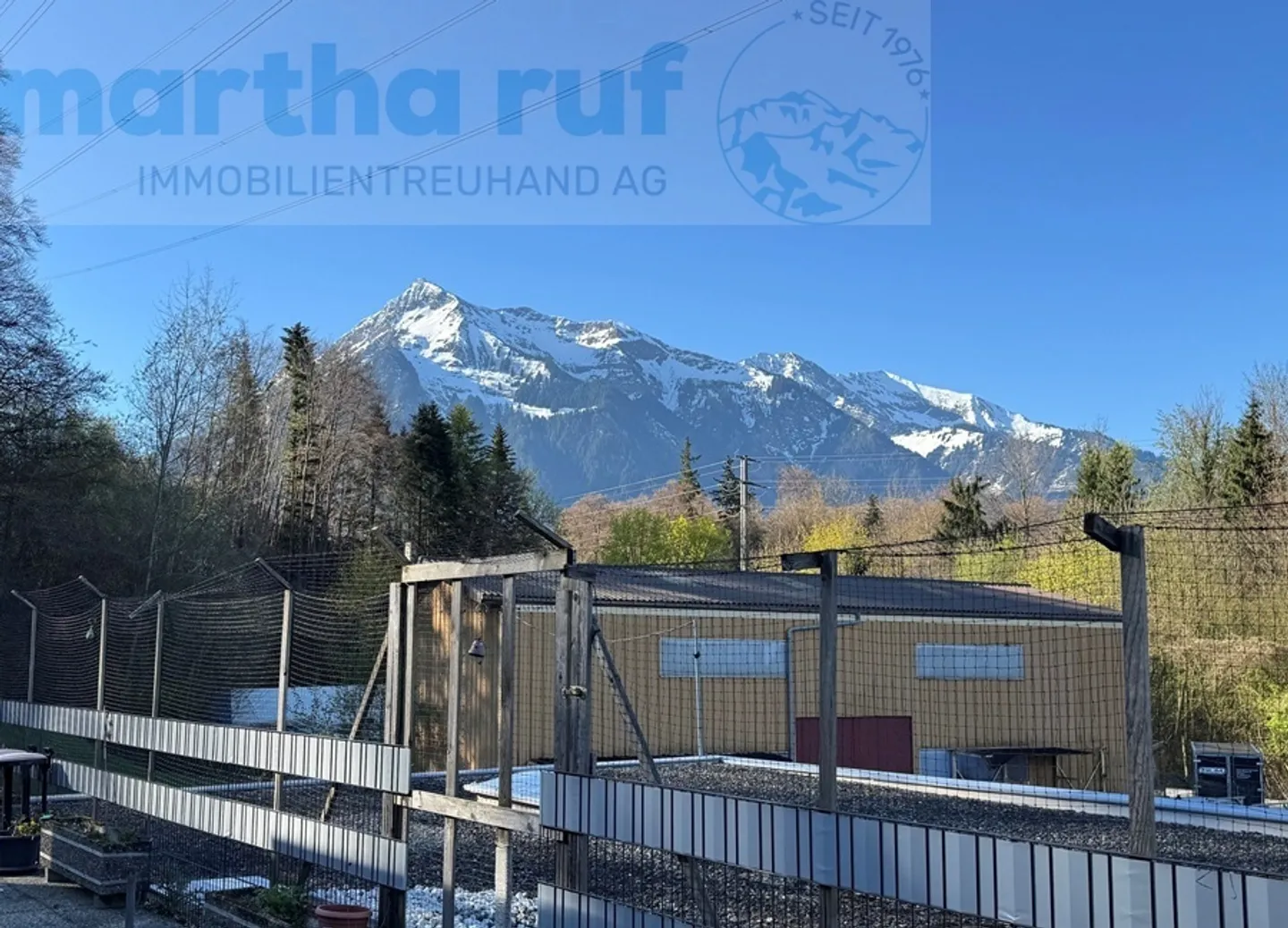 Geräumige Wohnung mit grosser Terrasse - Foto 6 von 14