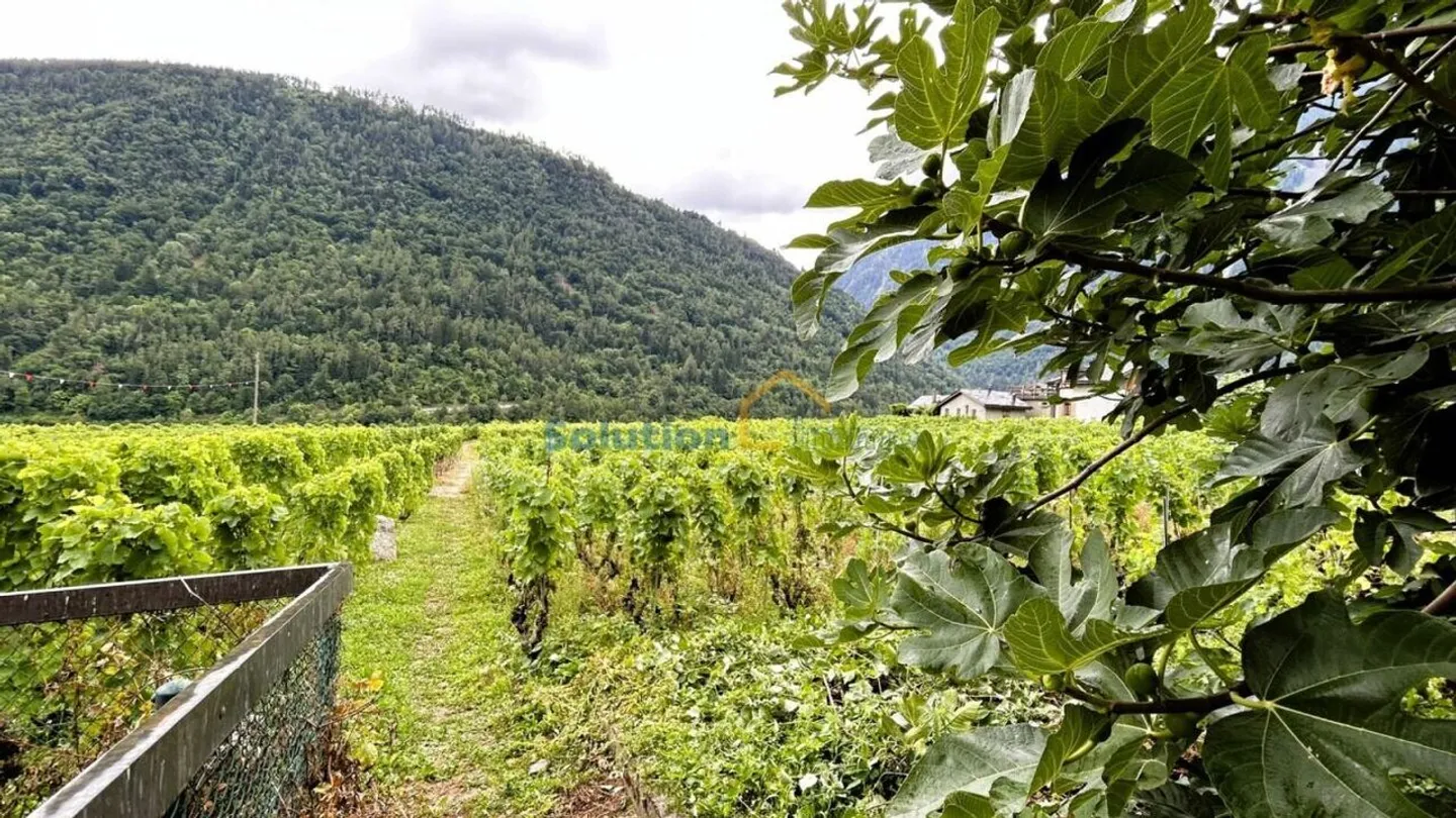 Haus im Herzen von Plan-Cerisier - Foto 14 von 14