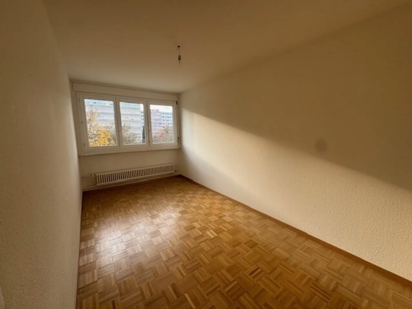 4-Zimmer-Wohnung im 3. Stock in Onex - Foto 3 von 7