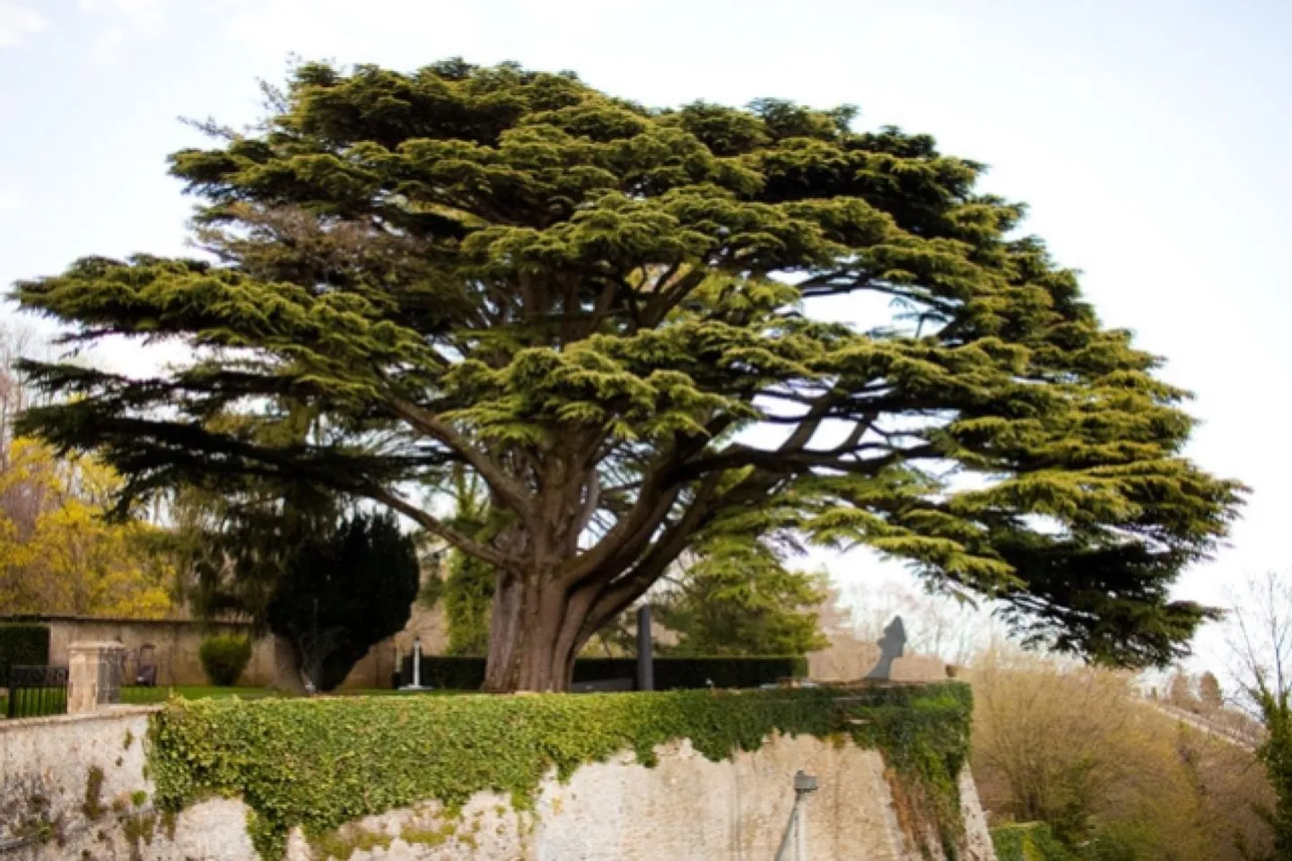 Office - Photo 5 of 6