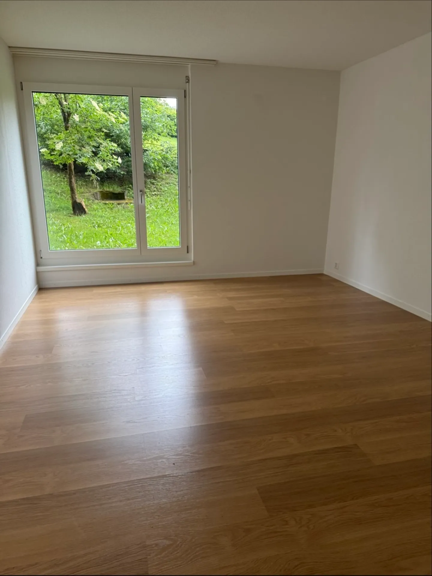 Appartamento 2.5 stanze con area giardino - Foto 2 di 4