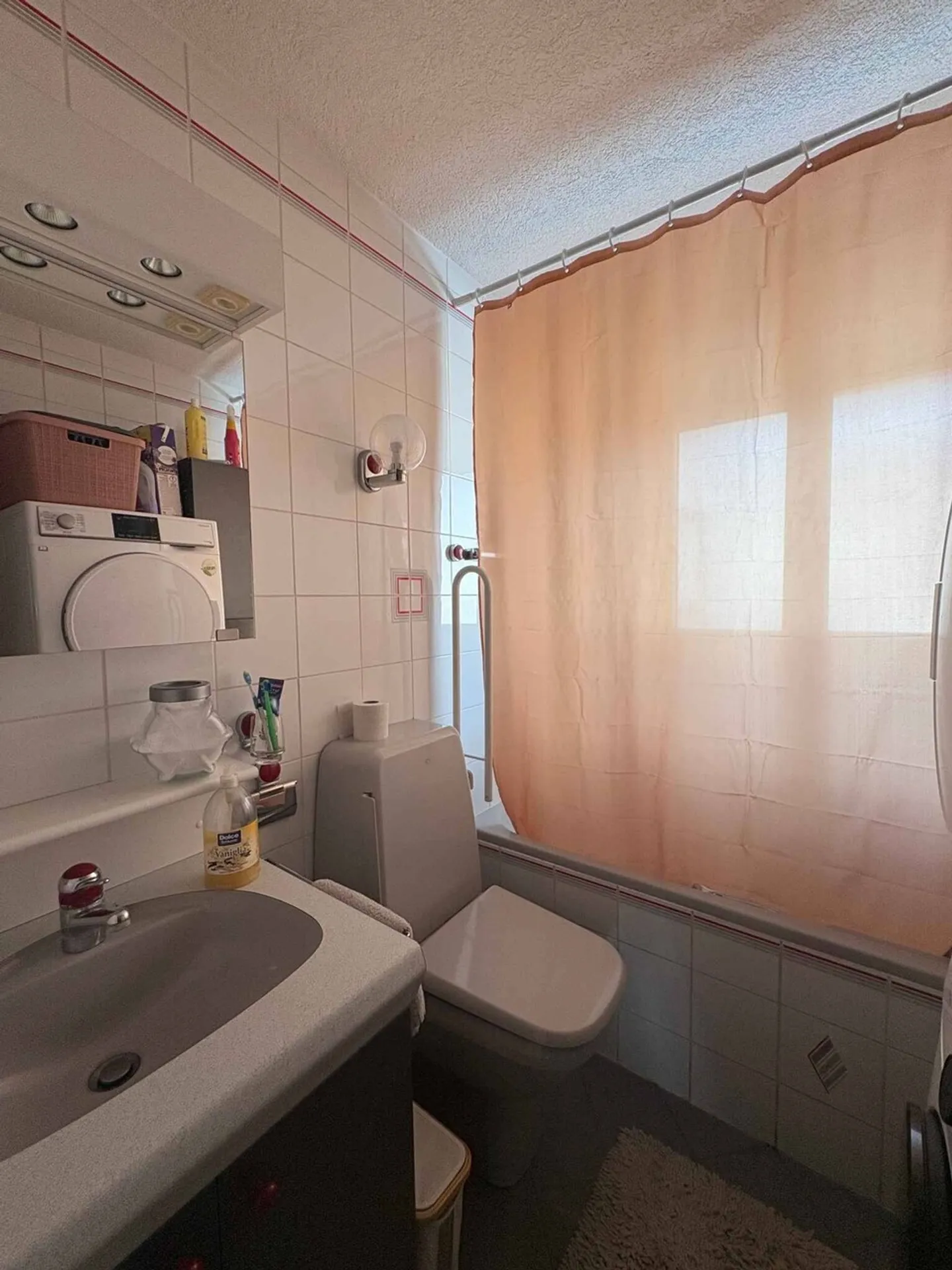 Renovated Apartment with Balconies - Photo 5 of 11