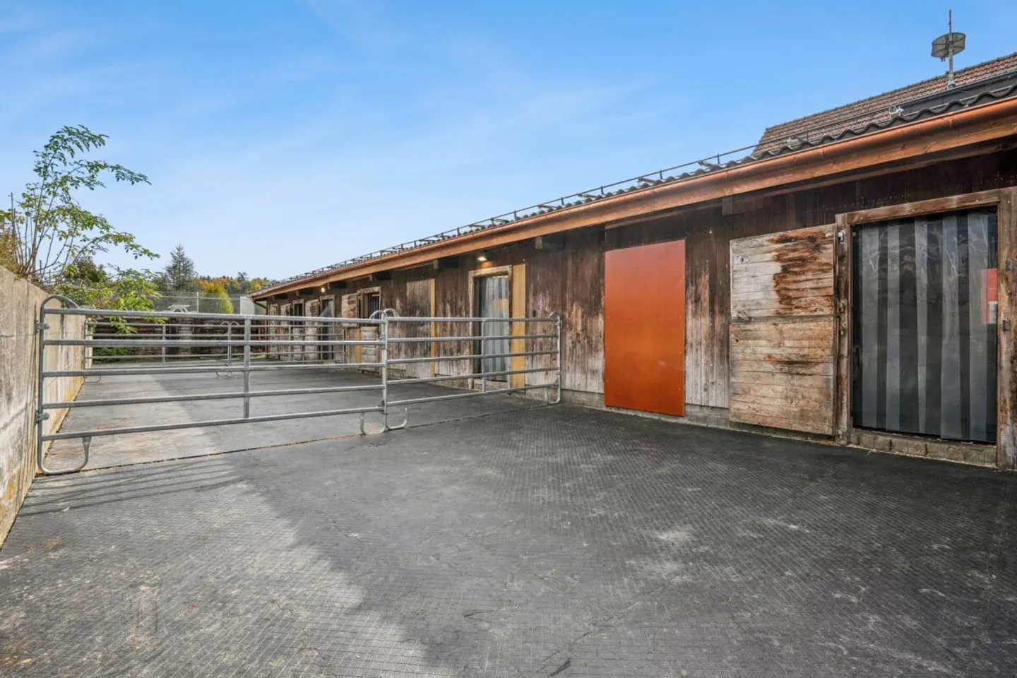 Struttura equestre da sogno con diverse aree di movimento e ampie zone di pascolo a Dotnacht - Foto 9 di 13