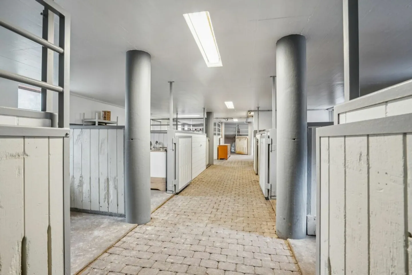 Struttura equestre da sogno con diverse aree di movimento e ampie zone di pascolo a Dotnacht - Foto 7 di 13