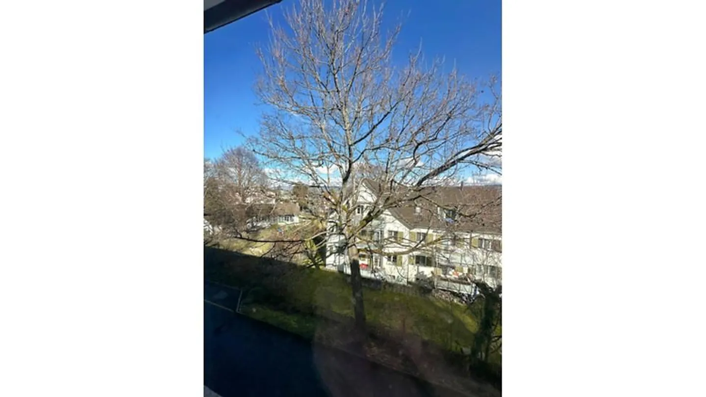4½ room apartment in THALWIL (ZH), furnished, TEMPORARY - Photo 7 of 8