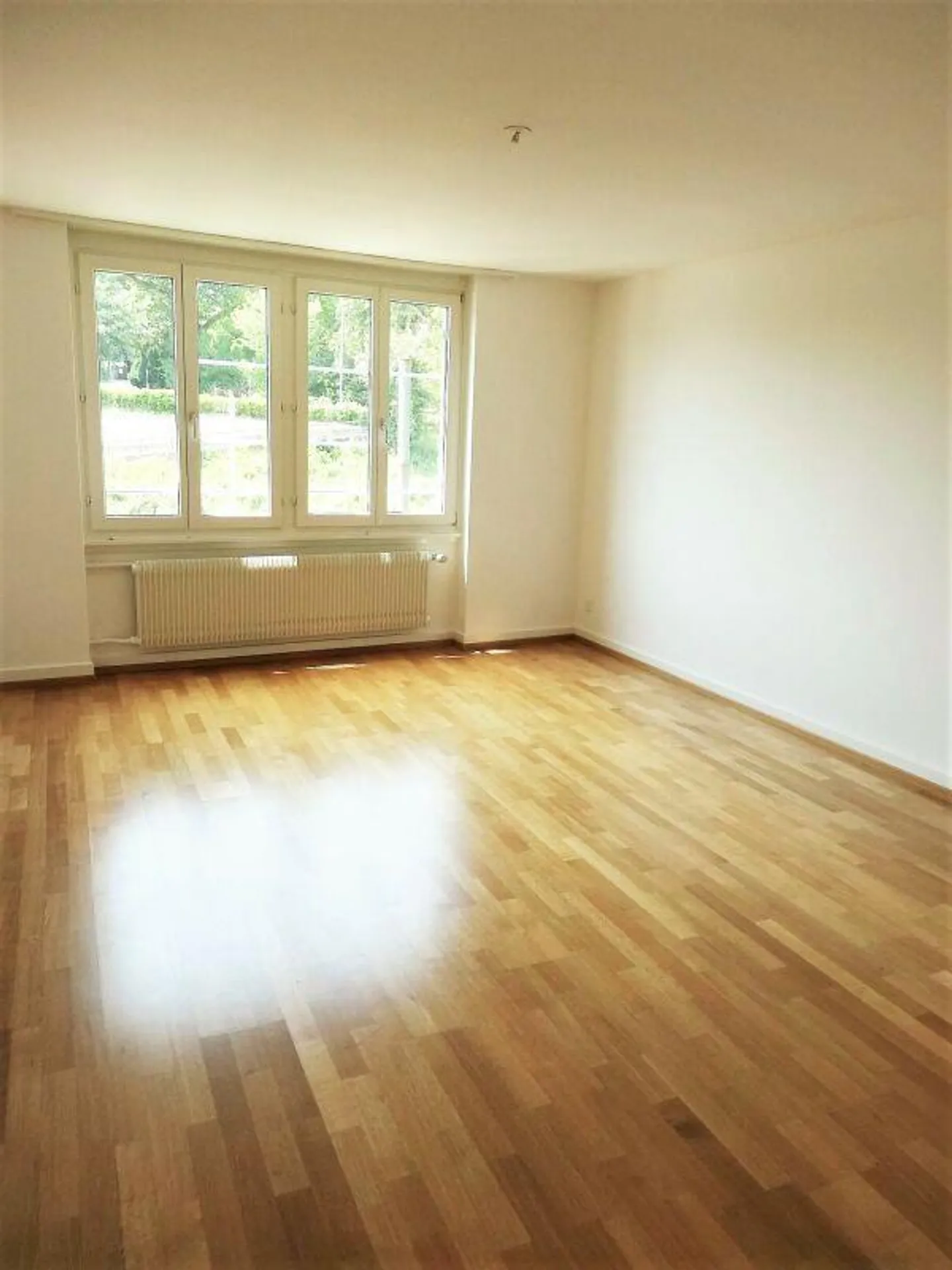 Modern Old Town Apartment - Photo 4 of 5