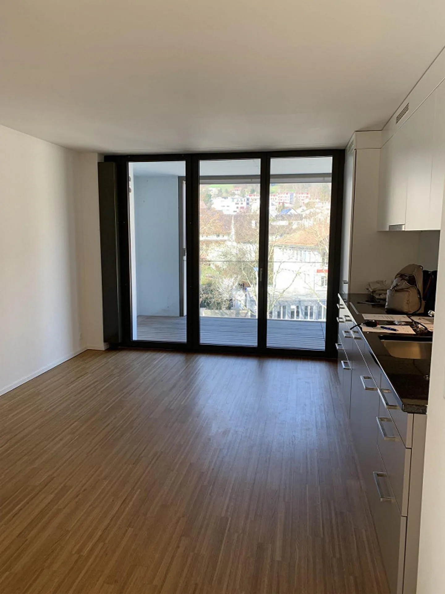 Beautiful 3.5 Room Apartment with a Dream Large Balcony - Photo 3 of 7