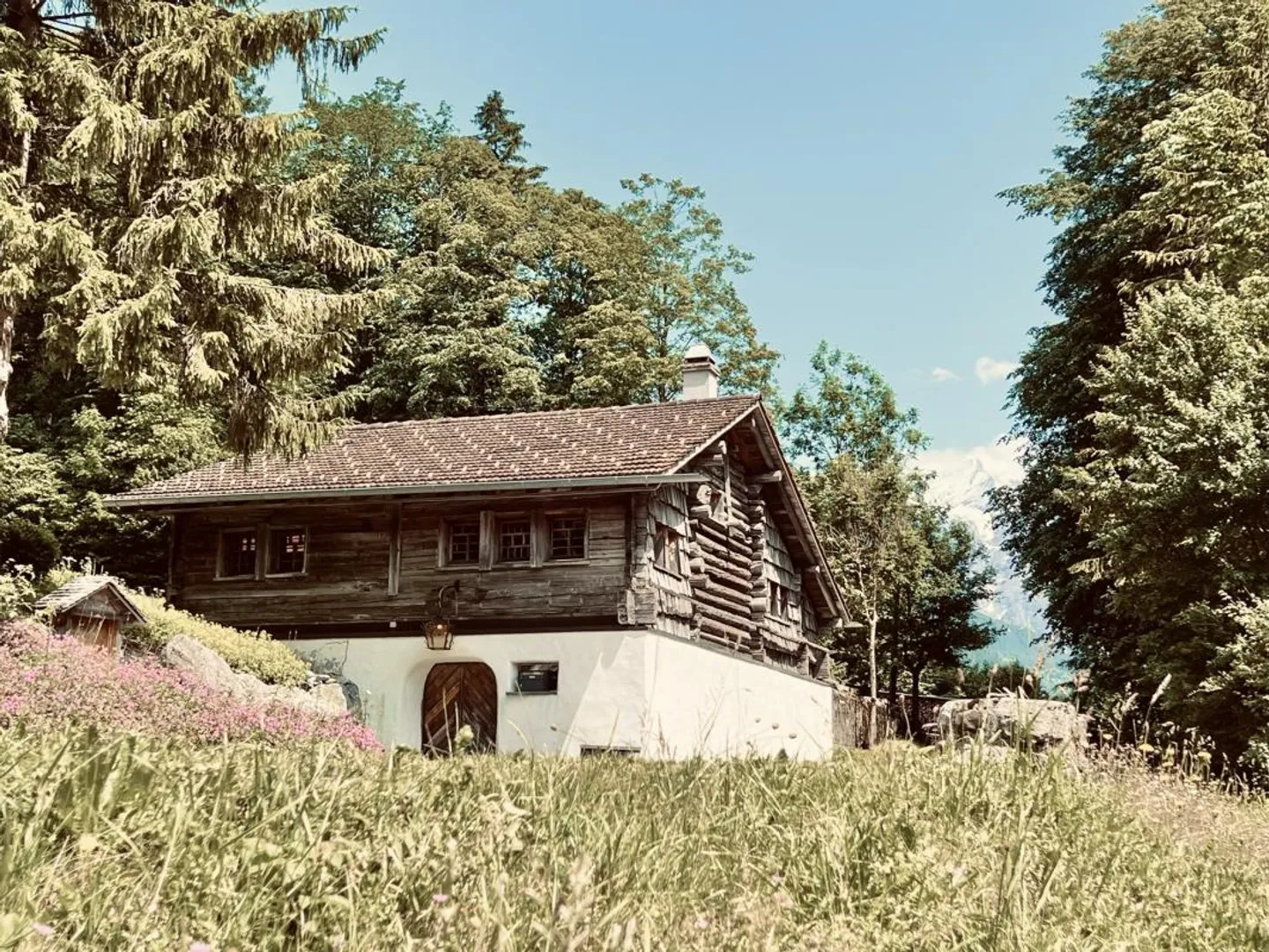 Oasis in the Bernese Oberland - Photo 12 of 18