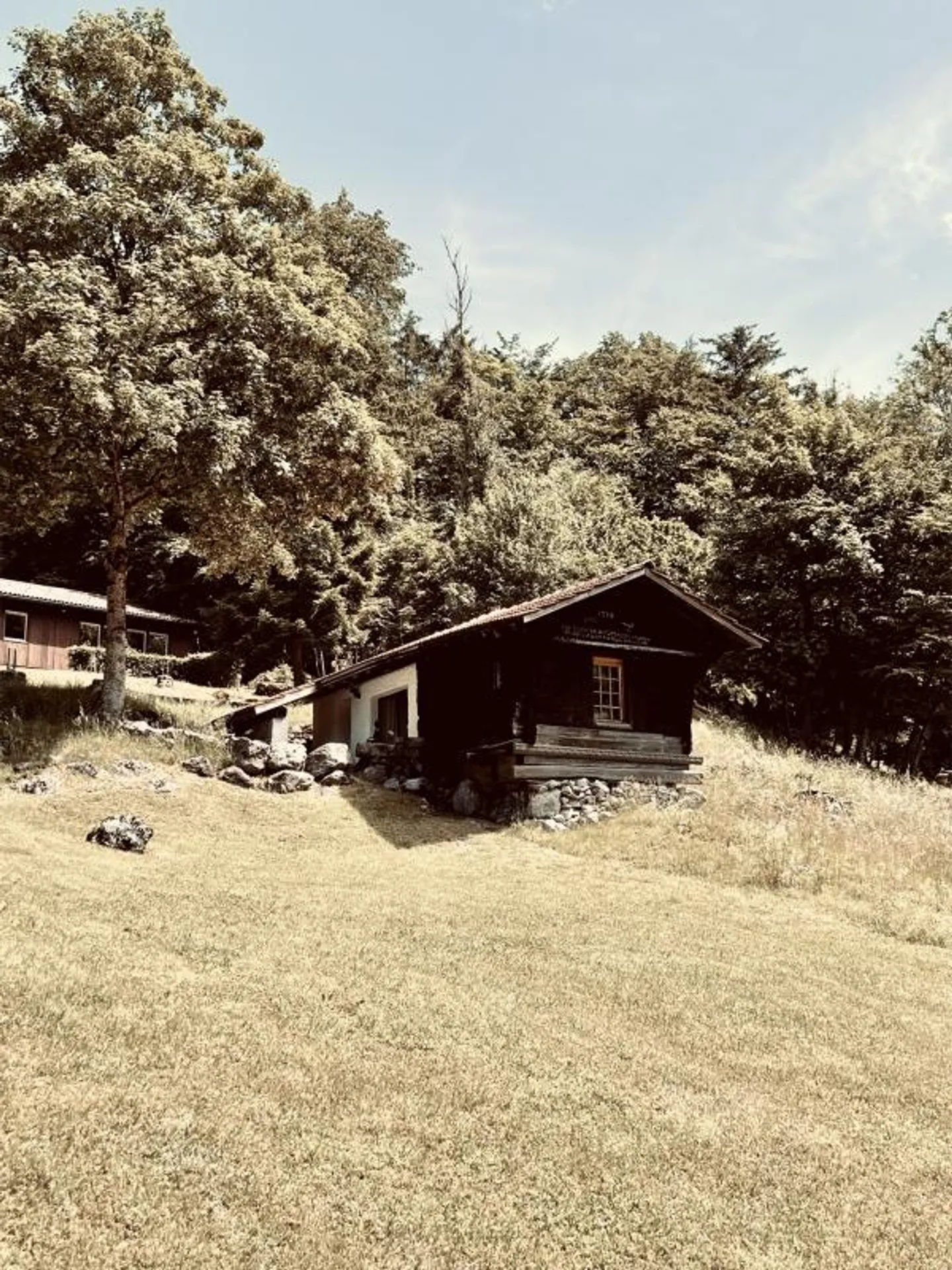 Oasis in the Bernese Oberland - Photo 14 of 18