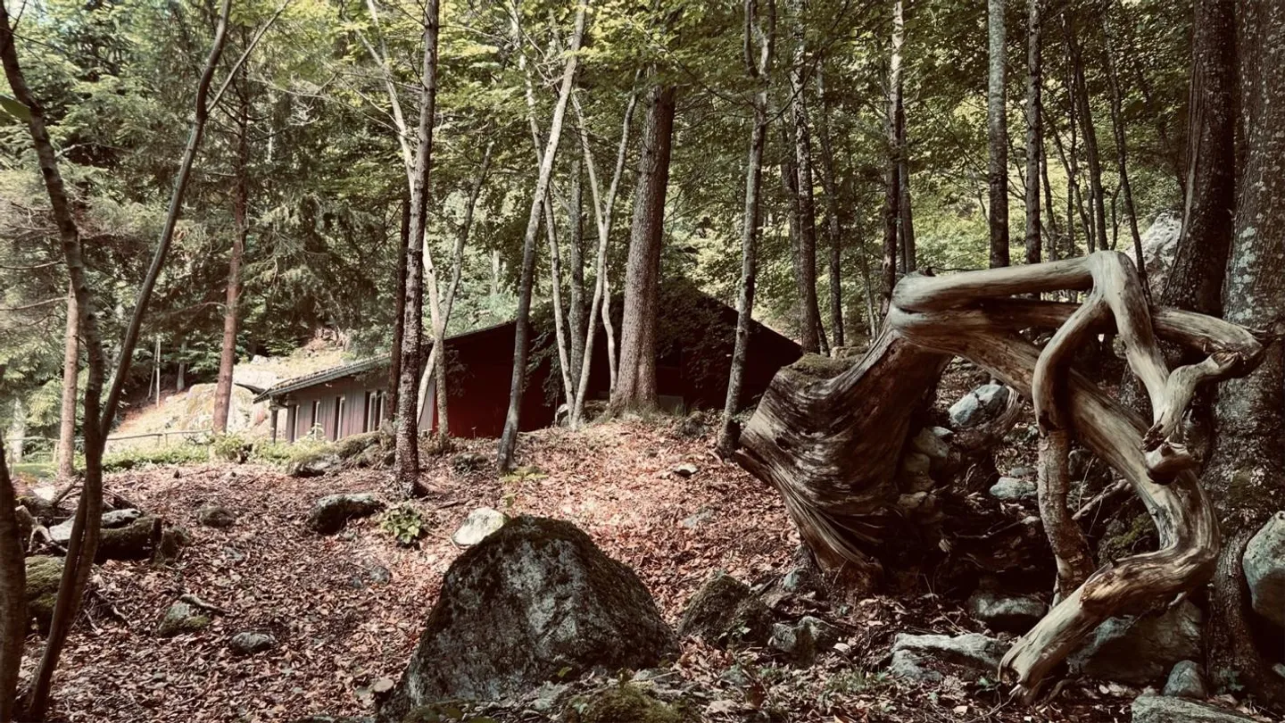 Oasis in the Bernese Oberland - Photo 17 of 18