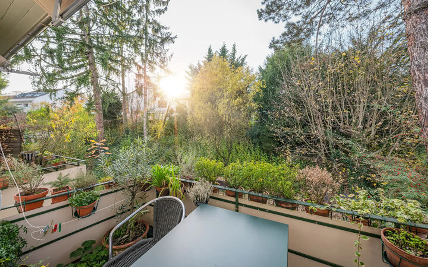 ATTRACTIVE INVESTMENT IN BRUDERHOLZ - Photo 7 of 8