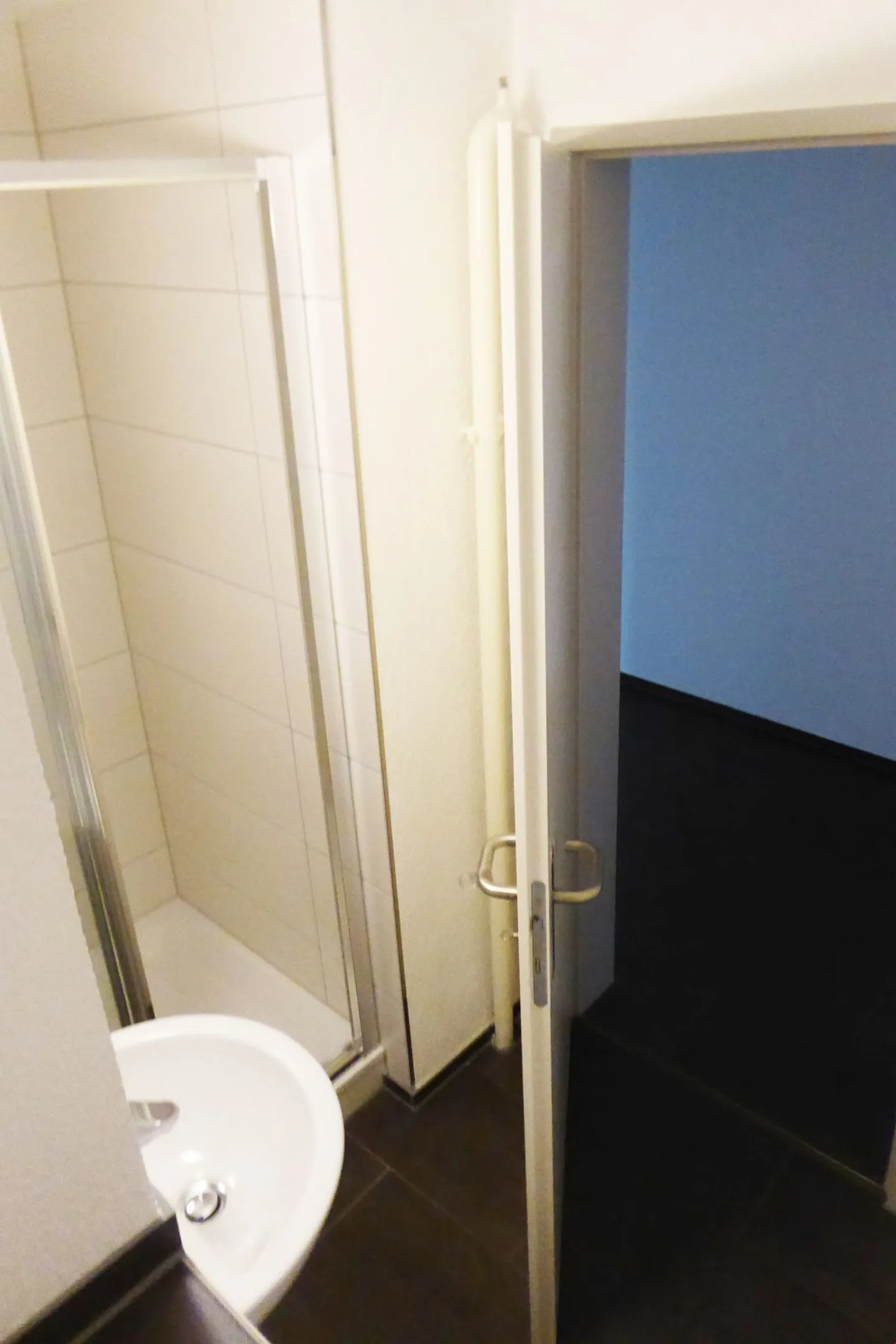 Affittiamo un appartamento 4½ locali quasi nuovo in una posizione bellissima e tranquilla - Foto 7 di 20