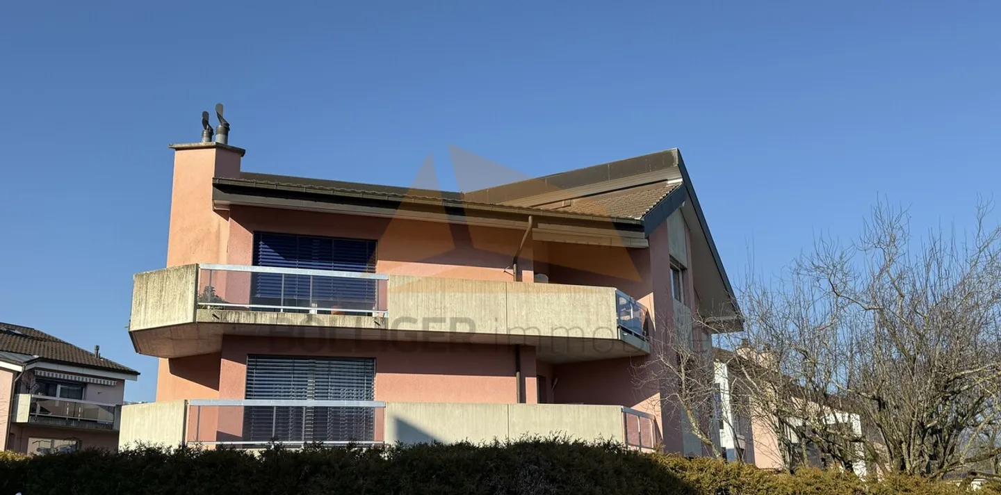 Appartamento 4,5 camere affascinante - Foto 3 di 15