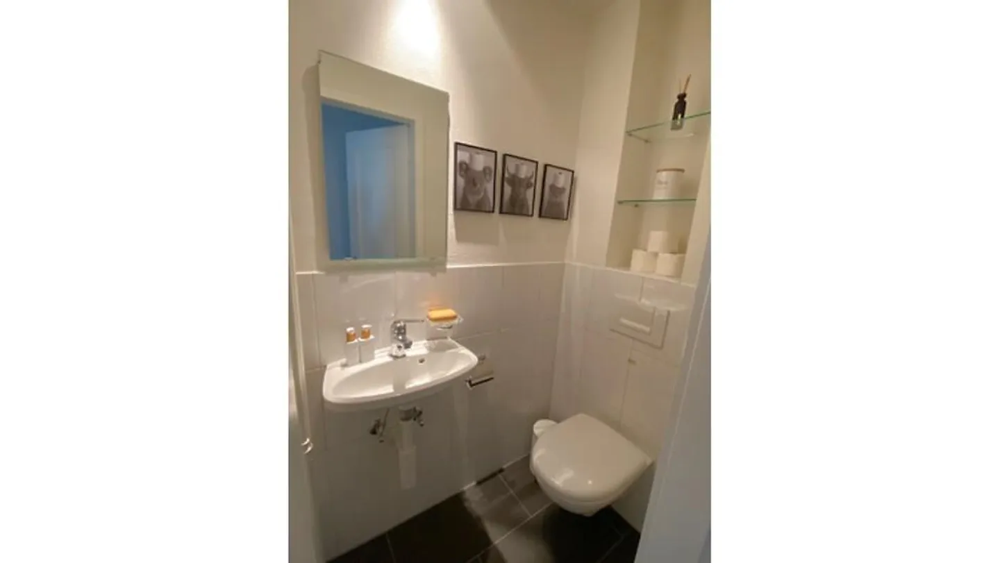 Appartement 4 pièces à Berne - Sulgenau, meublé, temporaire - Photo 8 sur 10