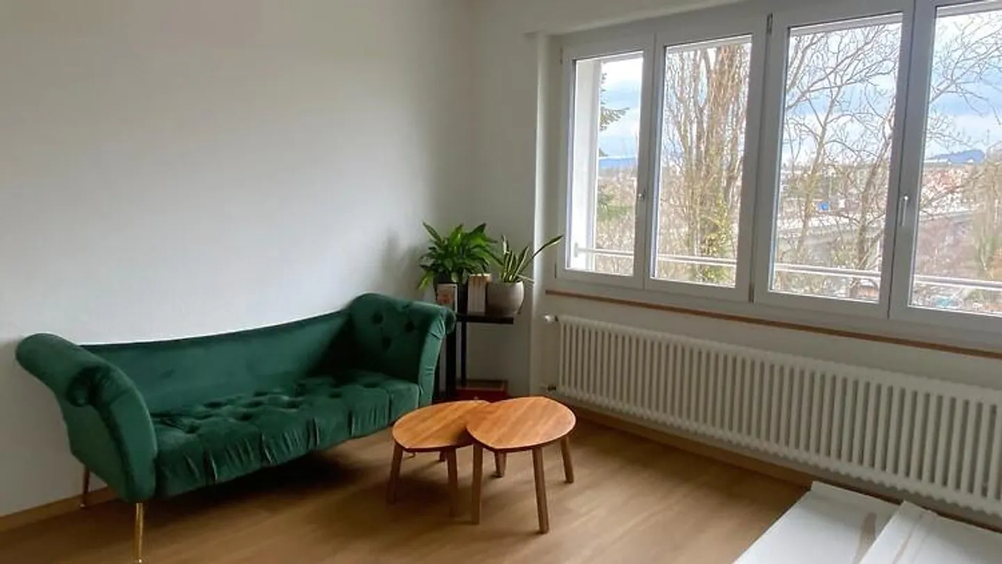 Appartement 4 pièces à Berne - Sulgenau, meublé, temporaire - Photo 9 sur 10