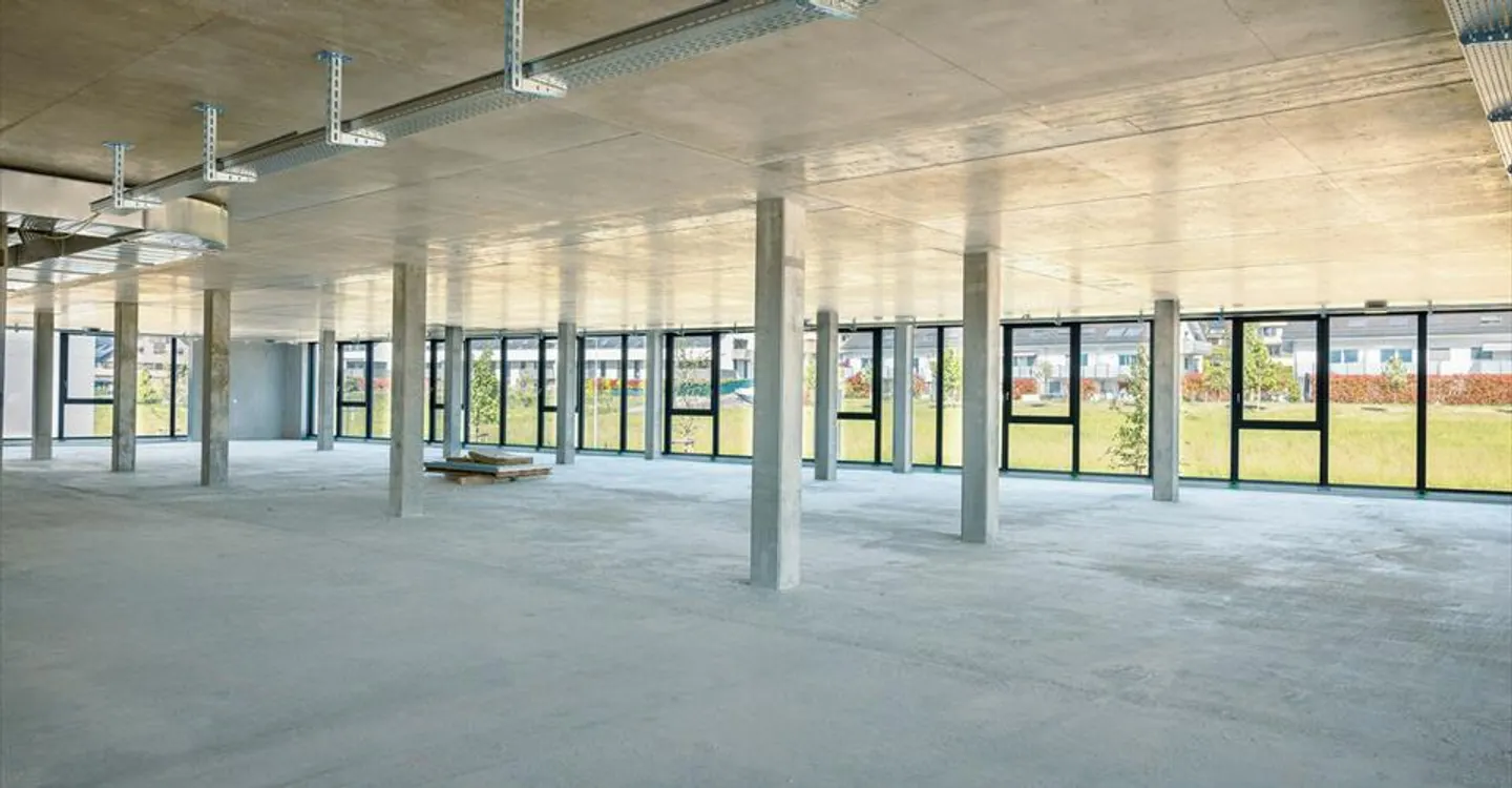 IDEAL PARK - Artigianale 1460 m2 - Foto 3 di 5