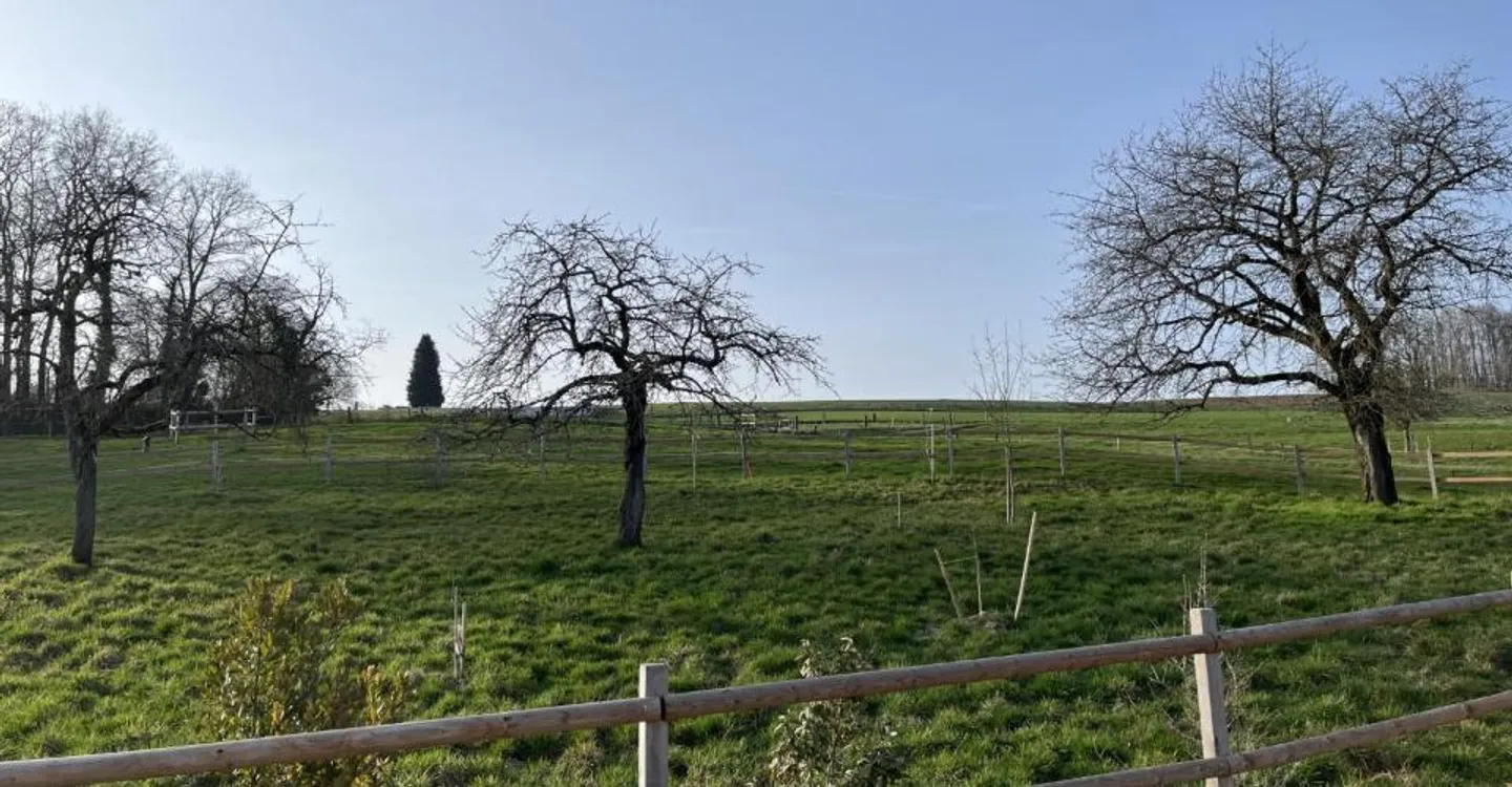 AB CHF 895'000.- - Foto 1 von 9