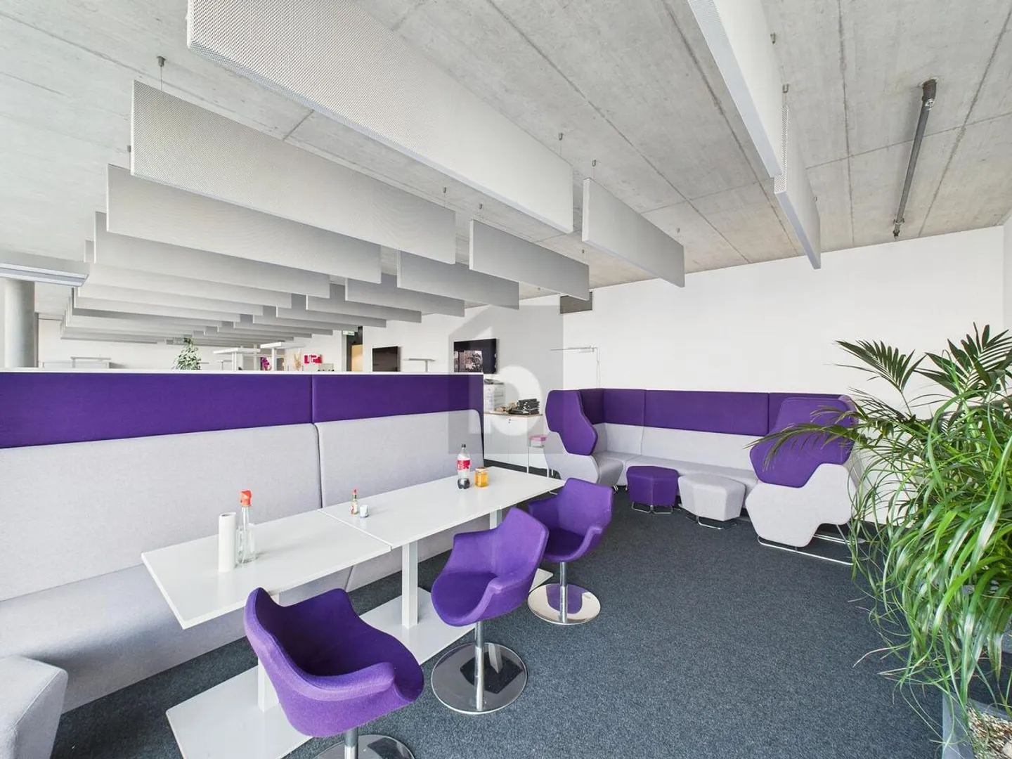 Modernes Büro in Pratteln - Foto 4 von 5