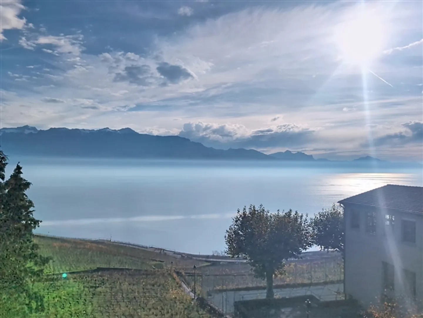 «Im Herzen des malerischen Dorfes Epesses gelegen, befindet sich dieses charmante Apartment in einem Teil eines authentischen Winzerhauses und bietet ein ruhiges und typisch lavaulyanisches Wohnumfeld.» - Foto 9 von 11