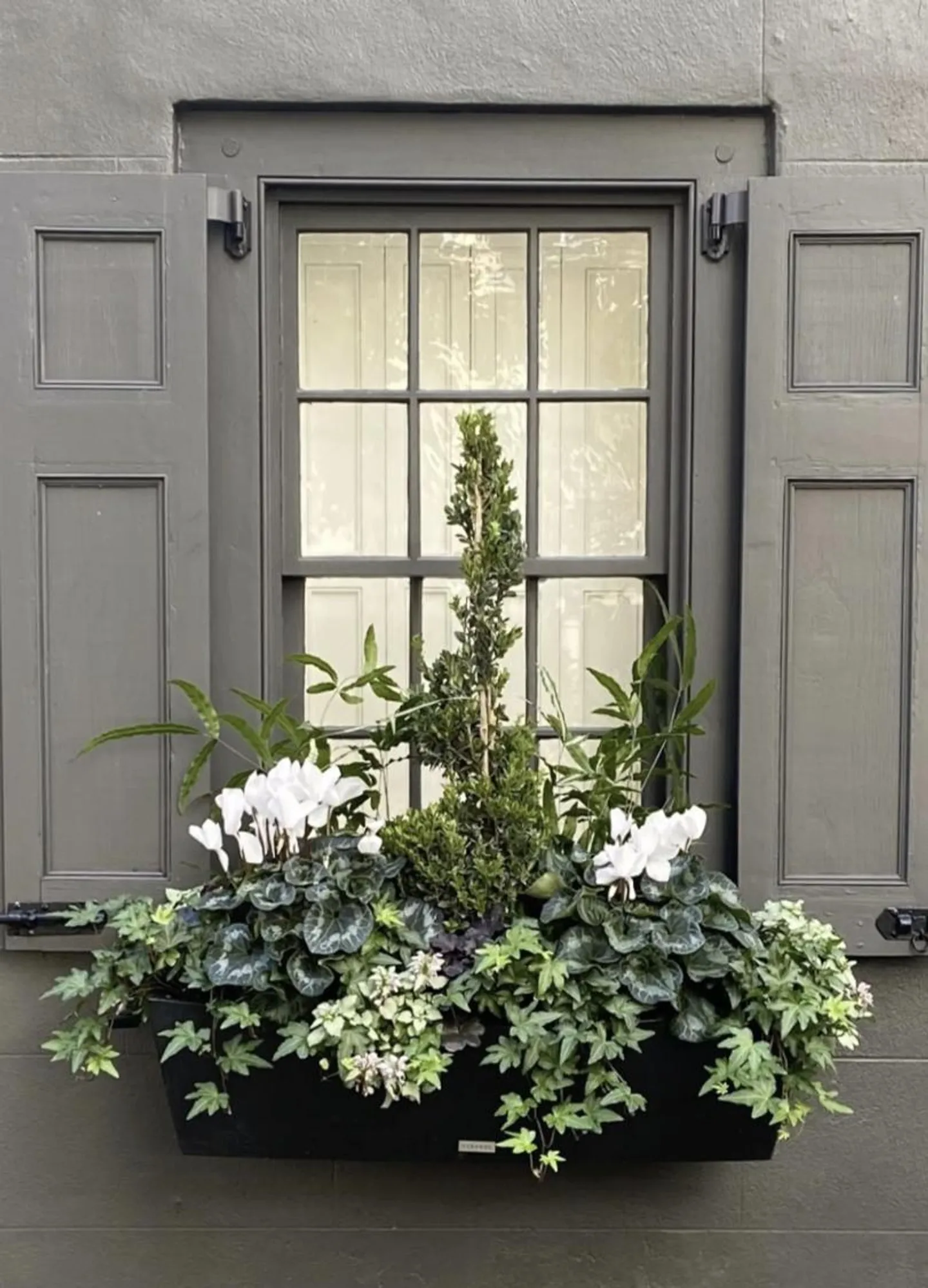 Casa con terrazza 11 stanze - Foto 1 di 2