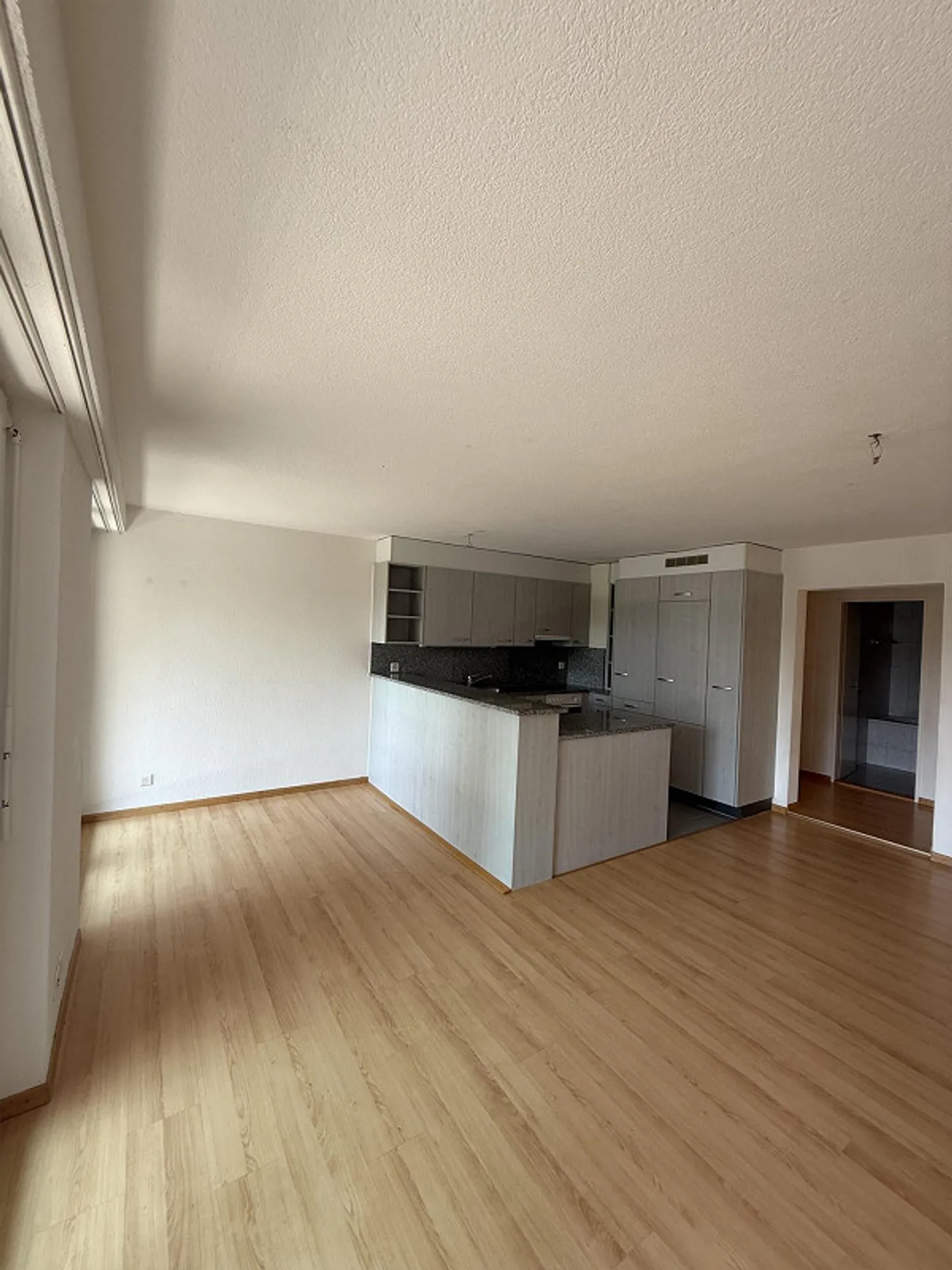 Geräumige Wohnung in Zürich - Foto 3 von 11