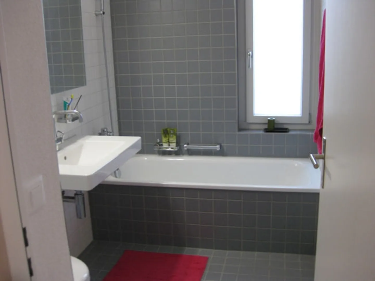 Glattpark - modern attic apartment with large roof terrace - Photo 3 of 7