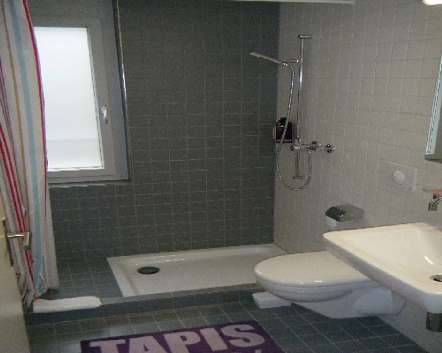 Glattpark - modern attic apartment with large roof terrace - Photo 4 of 7