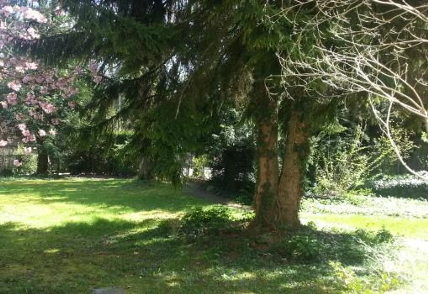 Furnished 3-Room Apartment - Photo 1 of 4