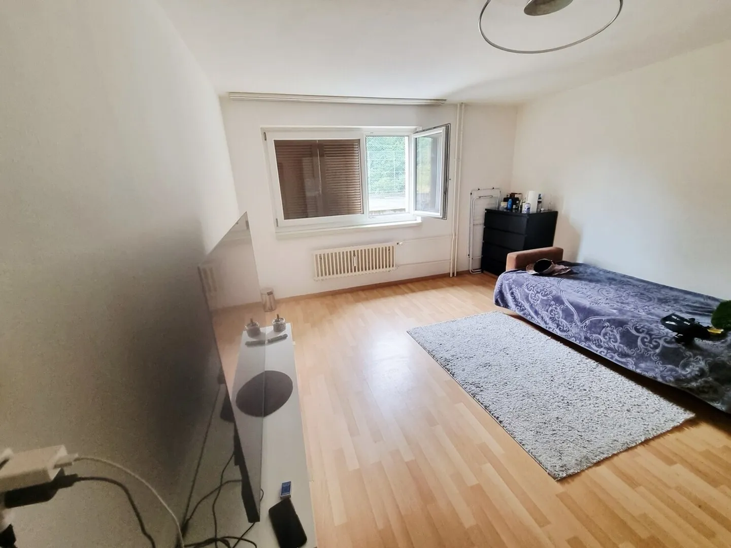 Charming 3.5-Room Apartment - Photo 4 of 6