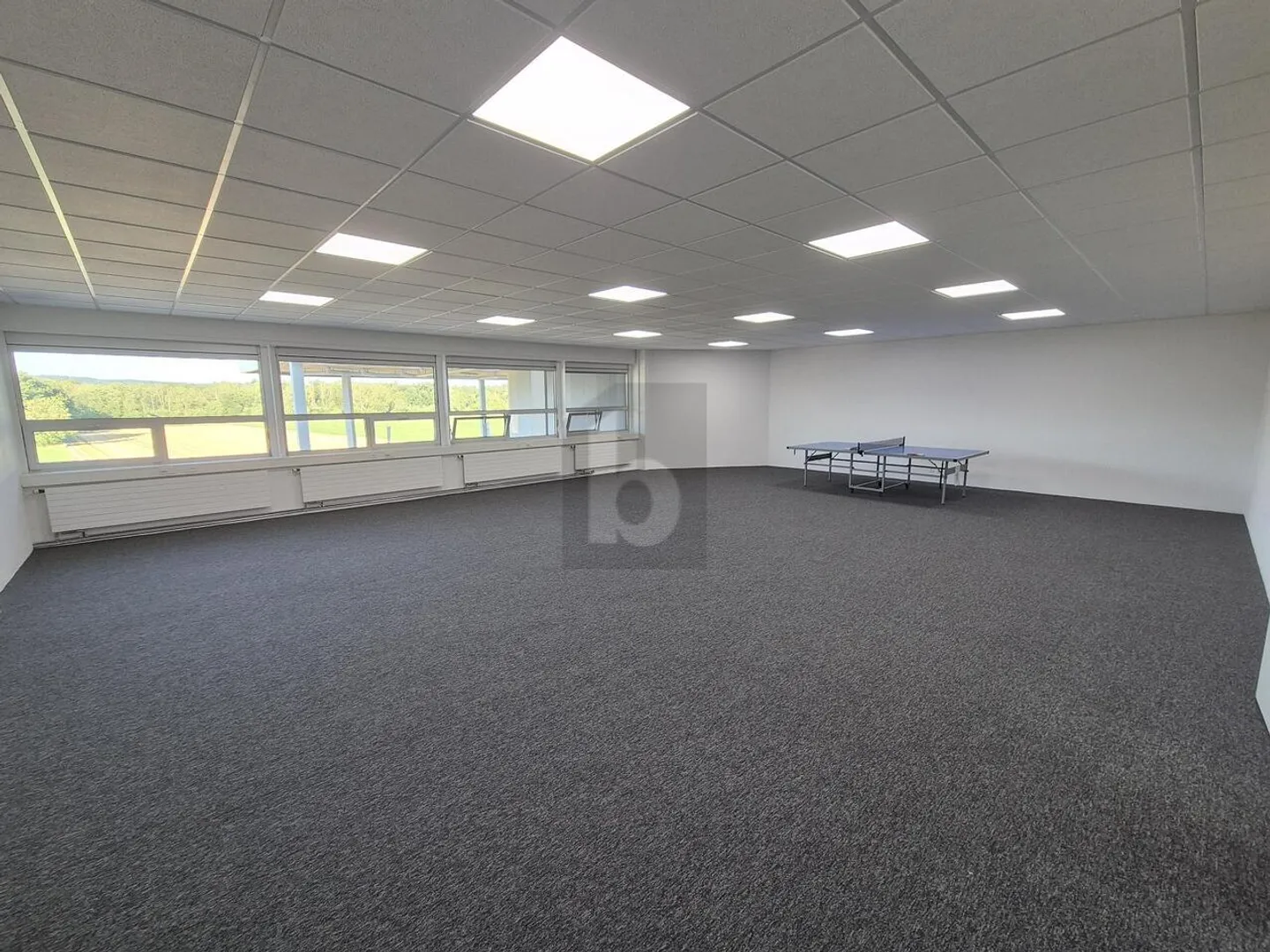 GROSSZÜGIGES UND ATTRAKTIVES BÜRO - Foto 5 von 6