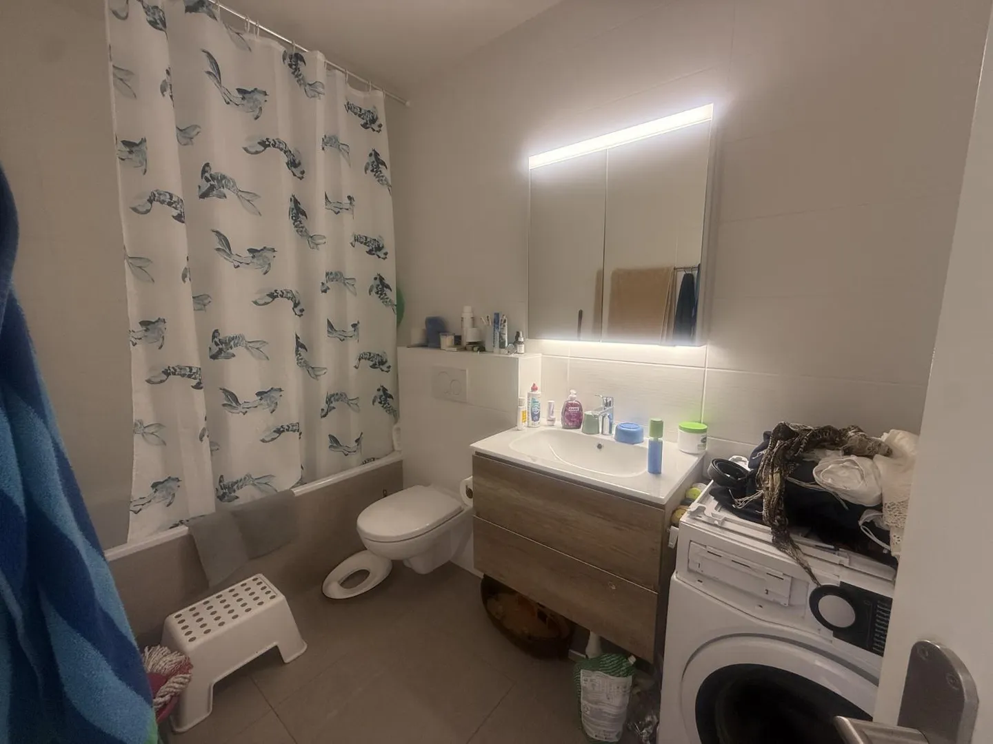 Appartement magnifique à Thônex - Photo 3 sur 3