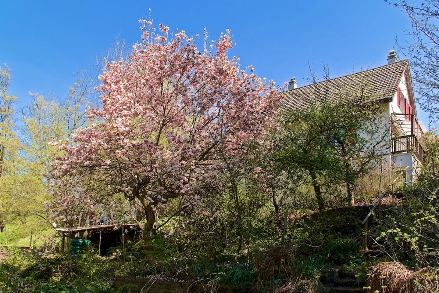 Living in Bern, single-family house with high renovation needs - Photo 5 of 15