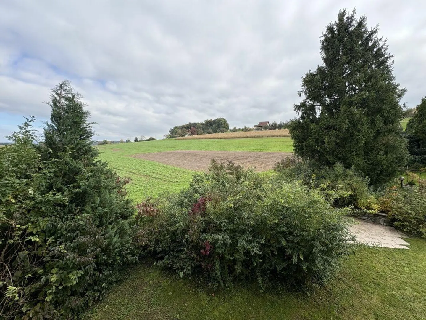 Familientraum im Grünen -  modernes 7½-Zimmer-Einfamilienhaus - Foto 13 von 15