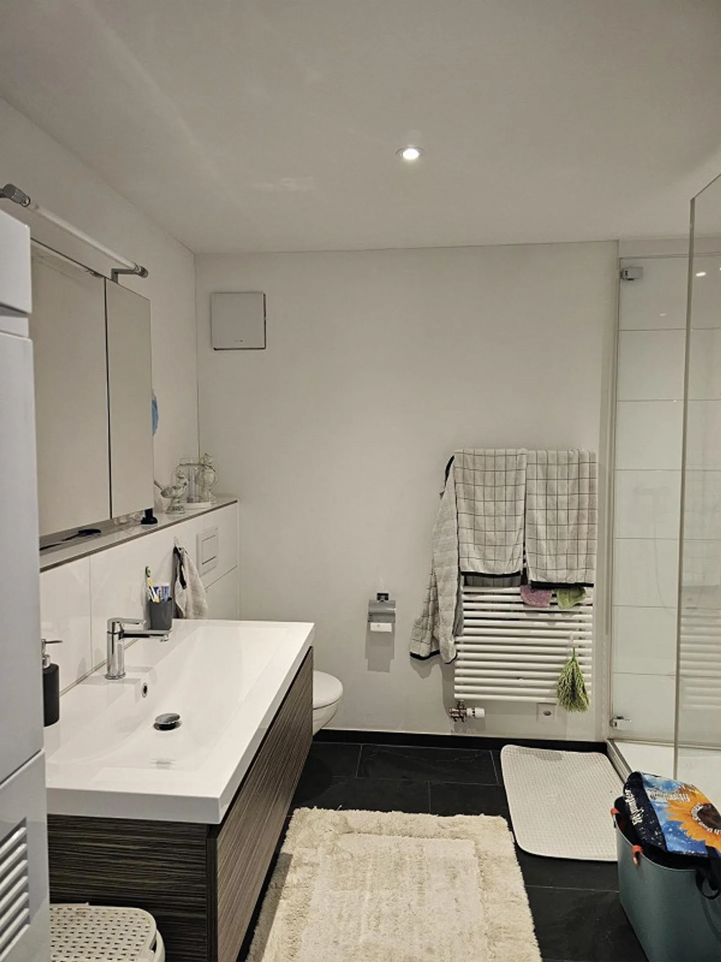 Appartamento 3,5 locali nel cuore di Frauenfeld - Foto 9 di 13