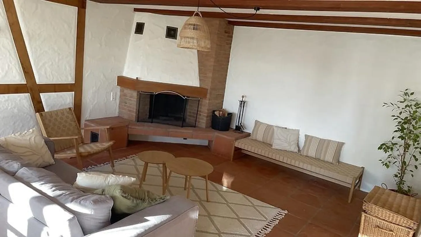 2½ ROOM APARTMENT IN NEUHAUSEN AM RHEINFALL (SH), FURNISHED, TEMPORARY - Photo 1 of 8