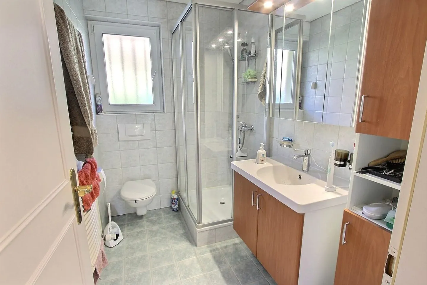 Beautiful single-family house on a livable level - Photo 10 of 13