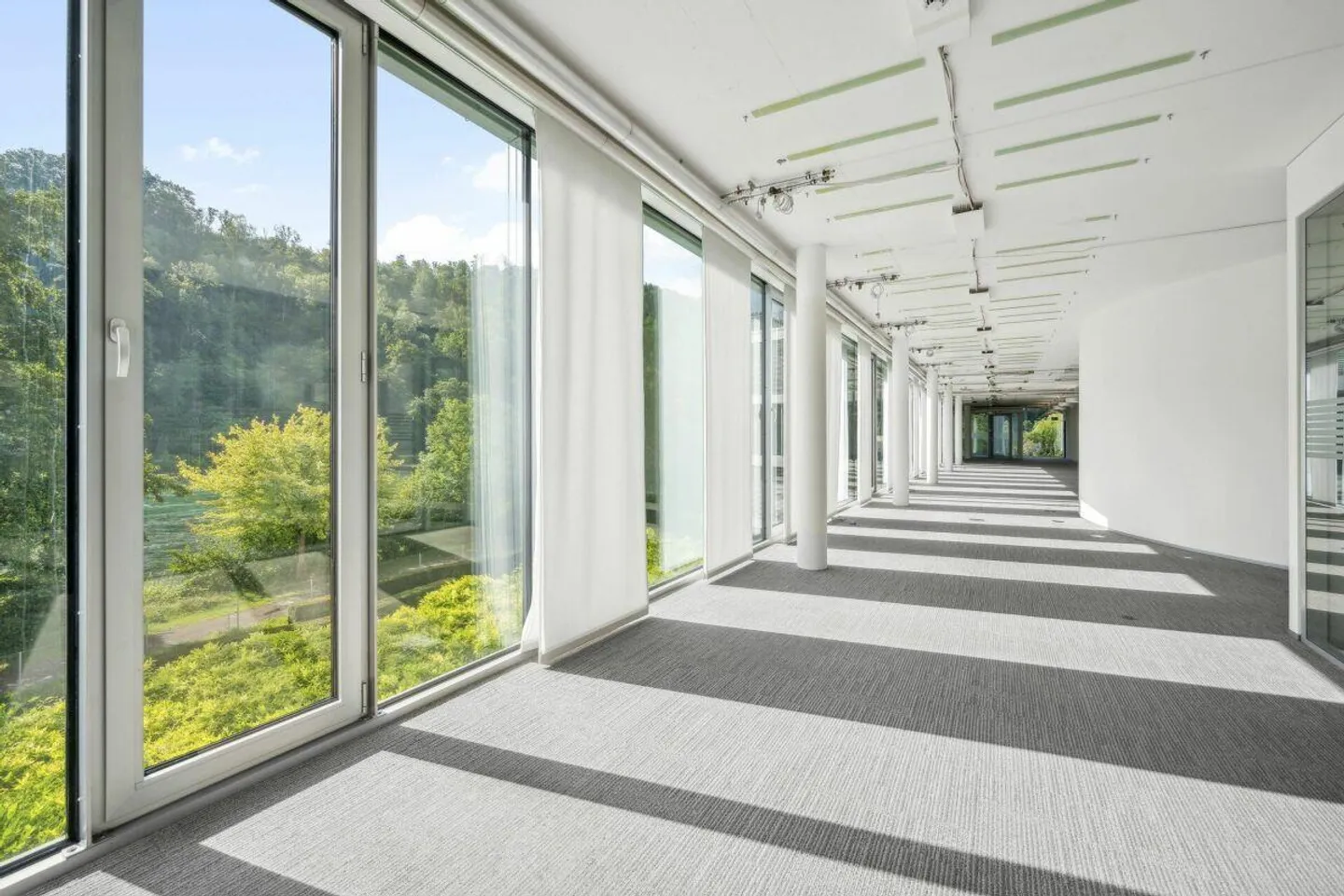Eccellente spazio ufficio direttamente sulle rive del Reno di dimensioni 520 m2 - Foto 2 di 12