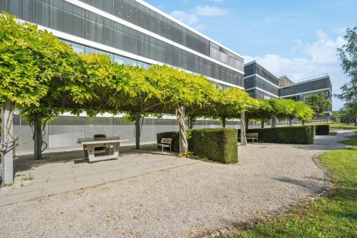Eccellente spazio ufficio direttamente sulle rive del Reno di dimensioni 520 m2 - Foto 11 di 12